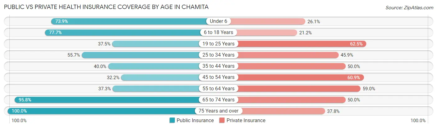 Public vs Private Health Insurance Coverage by Age in Chamita