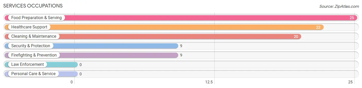 Services Occupations in Chamita