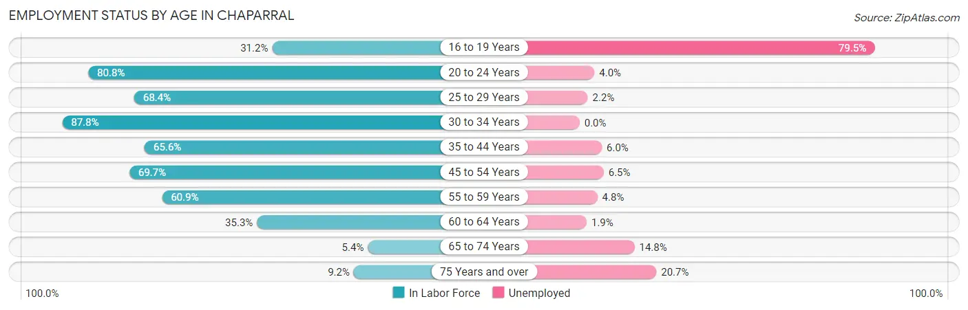 Employment Status by Age in Chaparral