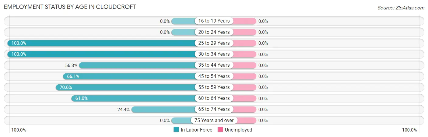 Employment Status by Age in Cloudcroft