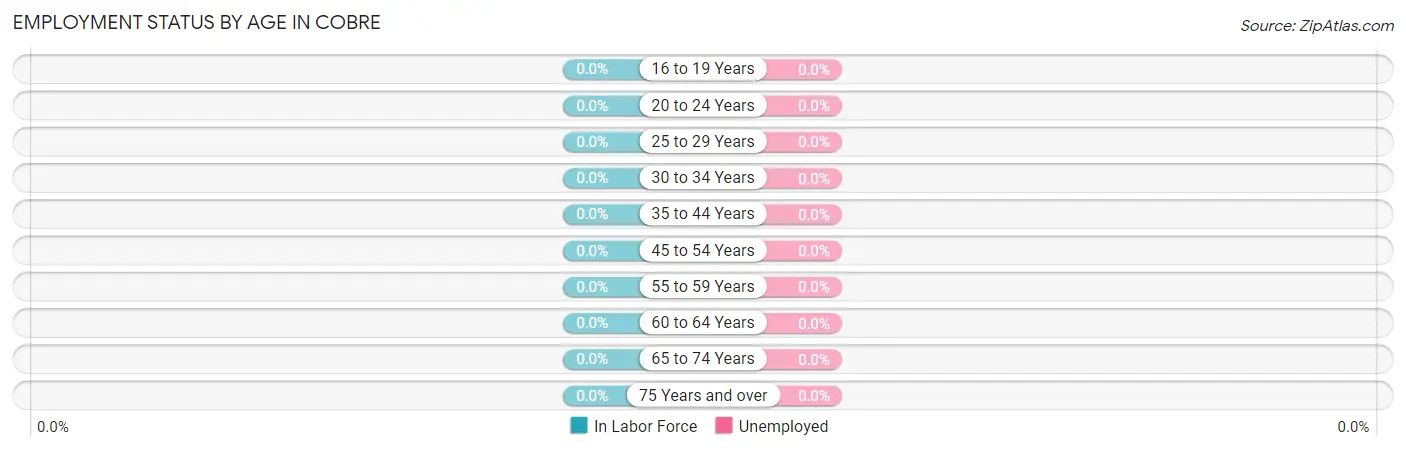 Employment Status by Age in Cobre