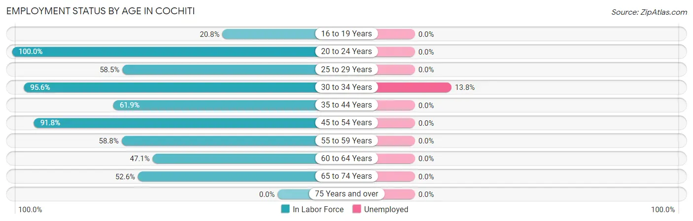 Employment Status by Age in Cochiti