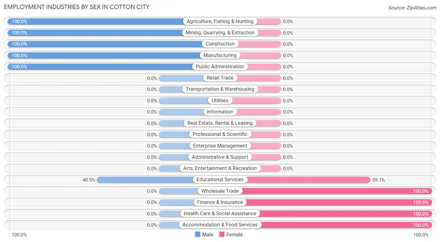 Employment Industries by Sex in Cotton City