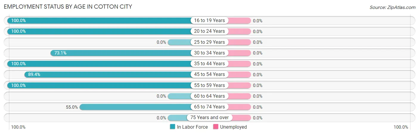 Employment Status by Age in Cotton City