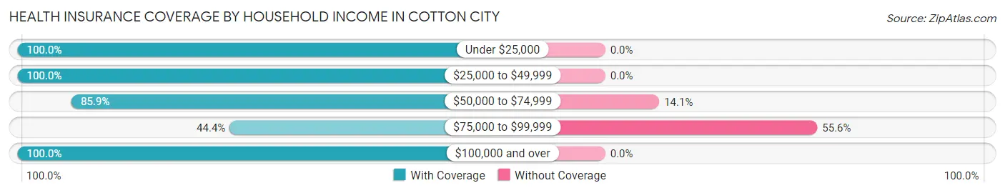 Health Insurance Coverage by Household Income in Cotton City