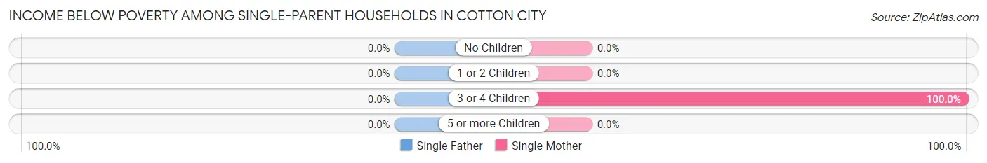 Income Below Poverty Among Single-Parent Households in Cotton City