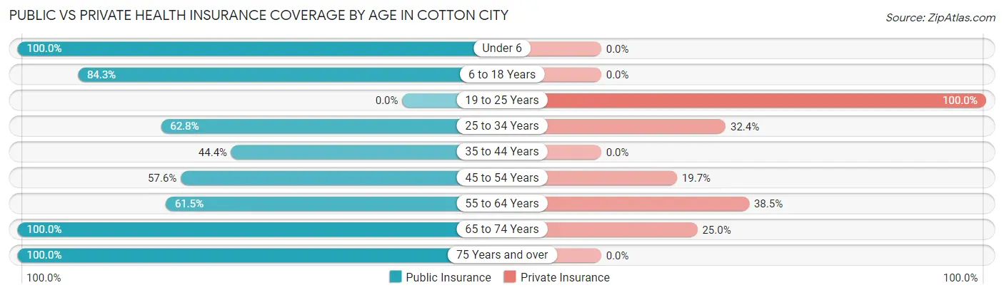 Public vs Private Health Insurance Coverage by Age in Cotton City