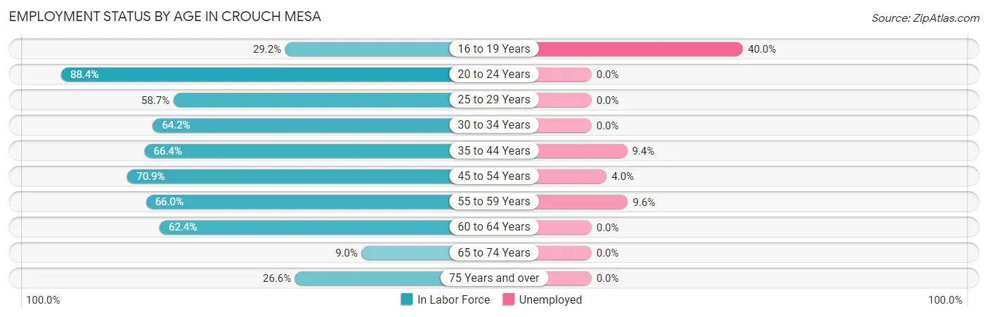 Employment Status by Age in Crouch Mesa