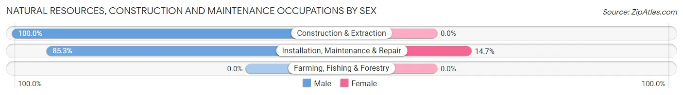 Natural Resources, Construction and Maintenance Occupations by Sex in Crownpoint