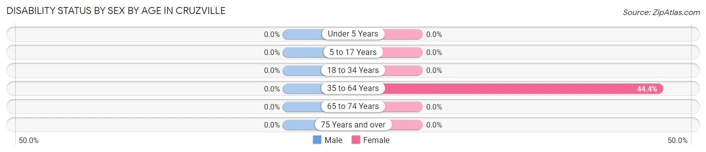 Disability Status by Sex by Age in Cruzville