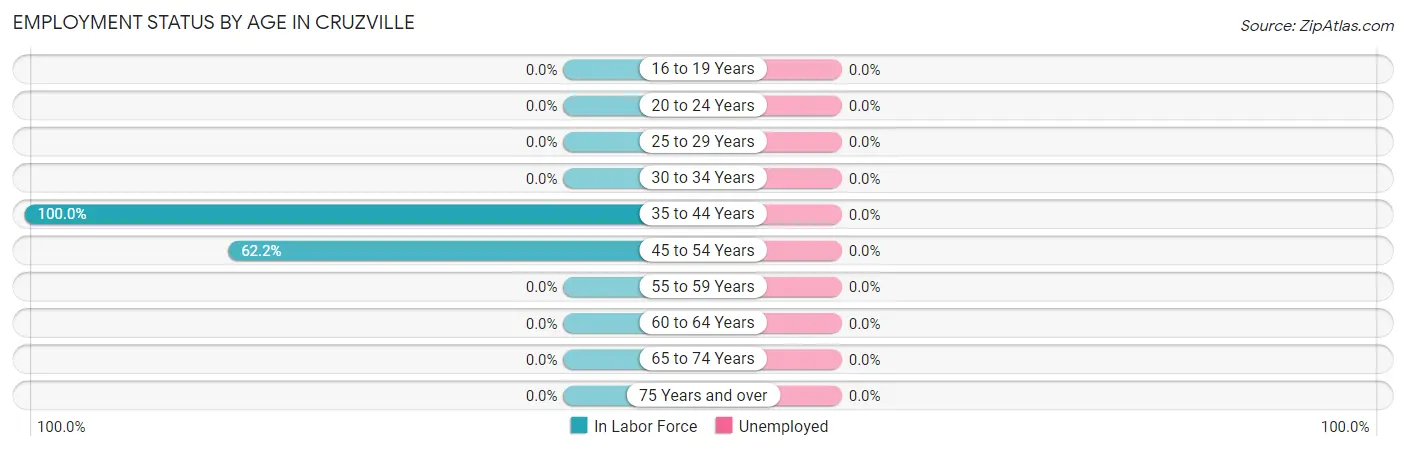 Employment Status by Age in Cruzville