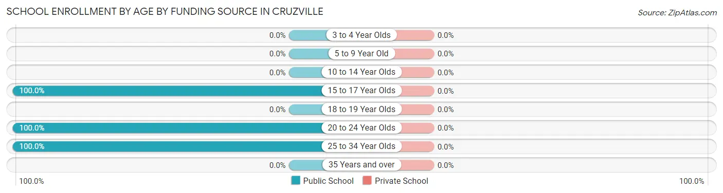 School Enrollment by Age by Funding Source in Cruzville
