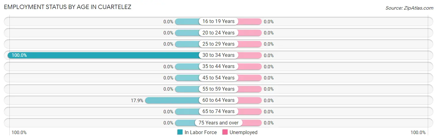 Employment Status by Age in Cuartelez