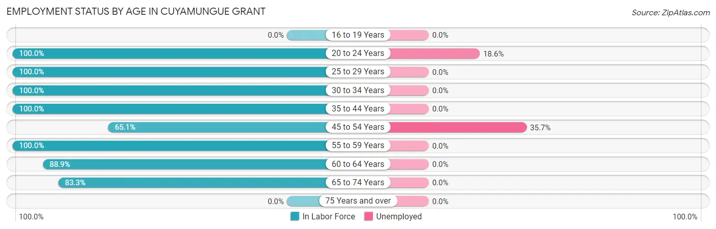Employment Status by Age in Cuyamungue Grant