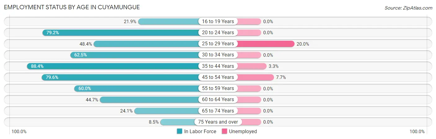 Employment Status by Age in Cuyamungue
