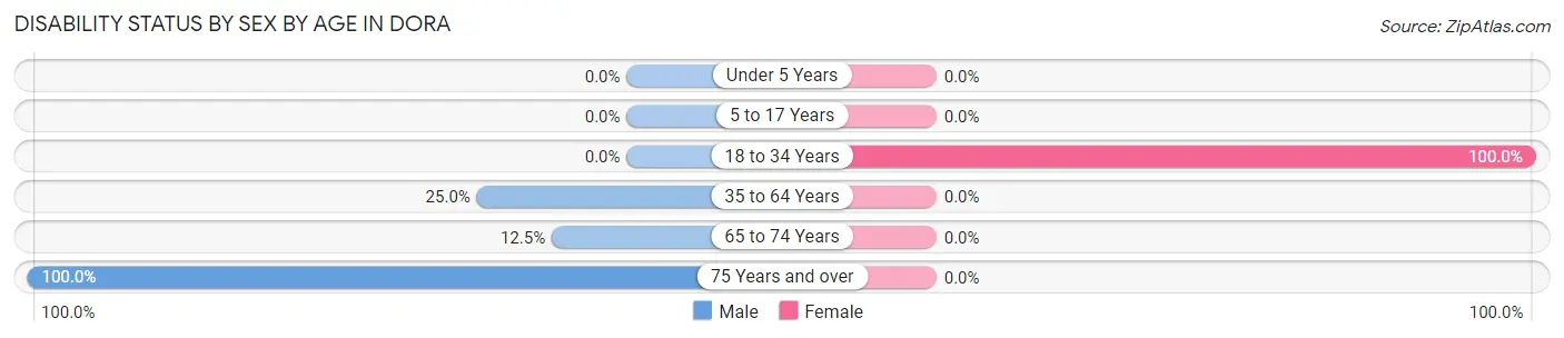 Disability Status by Sex by Age in Dora
