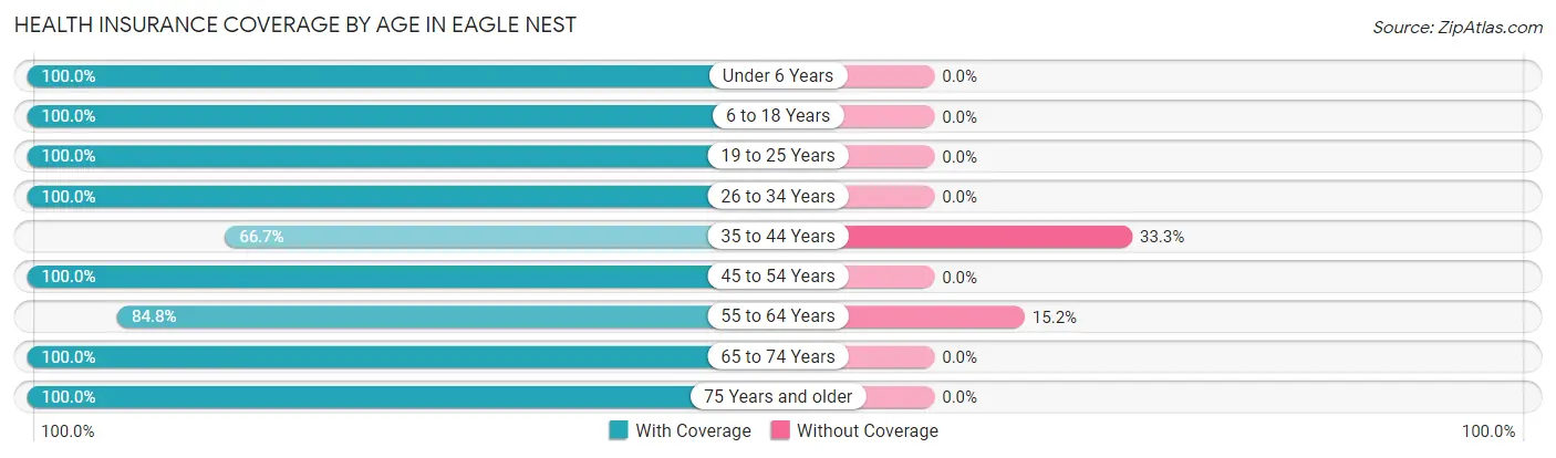 Health Insurance Coverage by Age in Eagle Nest