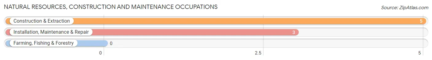 Natural Resources, Construction and Maintenance Occupations in Eagle Nest