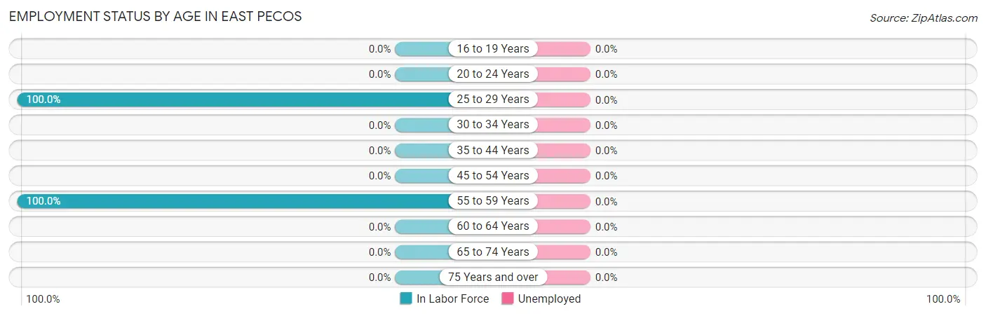 Employment Status by Age in East Pecos