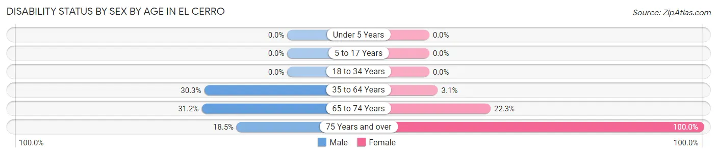 Disability Status by Sex by Age in El Cerro