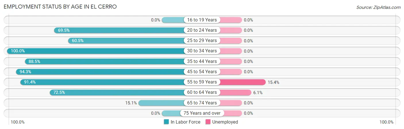 Employment Status by Age in El Cerro