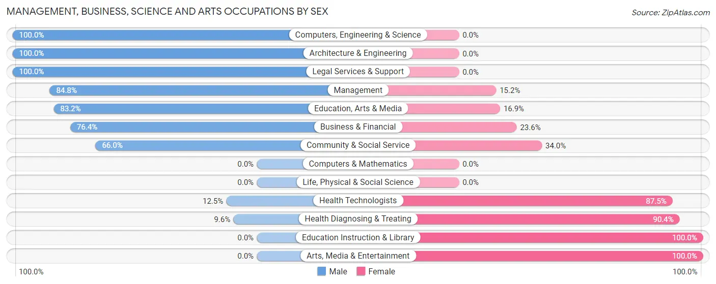 Management, Business, Science and Arts Occupations by Sex in El Cerro
