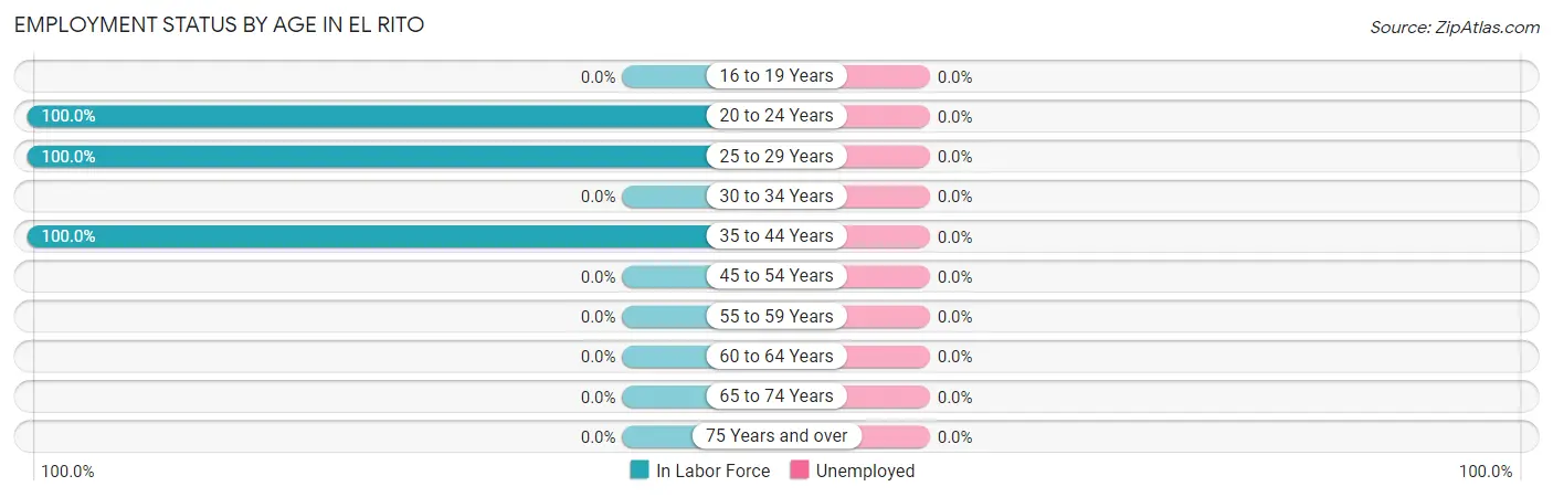 Employment Status by Age in El Rito