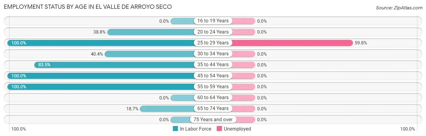 Employment Status by Age in El Valle de Arroyo Seco