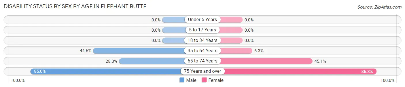 Disability Status by Sex by Age in Elephant Butte