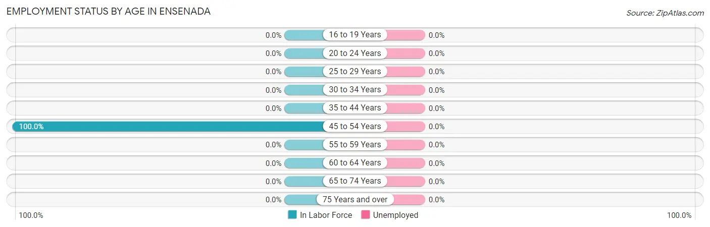Employment Status by Age in Ensenada