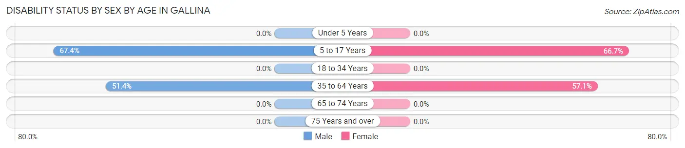 Disability Status by Sex by Age in Gallina