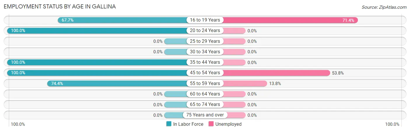 Employment Status by Age in Gallina