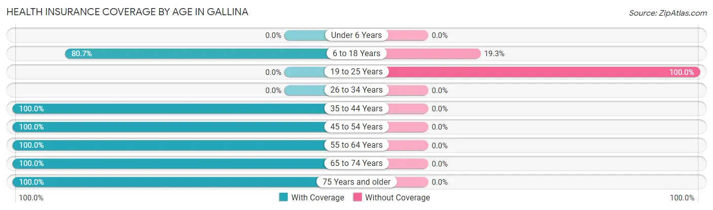 Health Insurance Coverage by Age in Gallina
