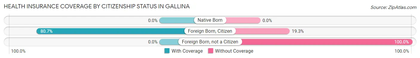 Health Insurance Coverage by Citizenship Status in Gallina