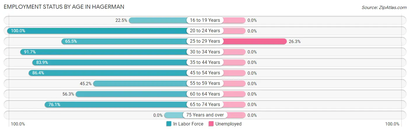 Employment Status by Age in Hagerman