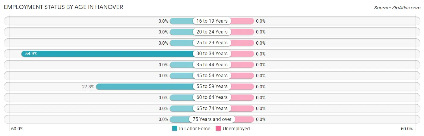 Employment Status by Age in Hanover