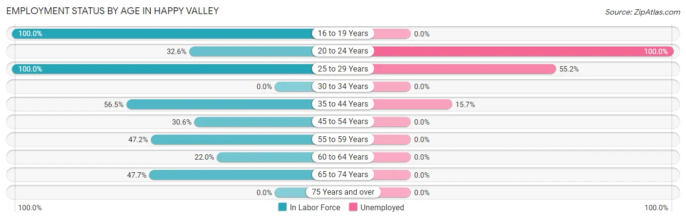 Employment Status by Age in Happy Valley