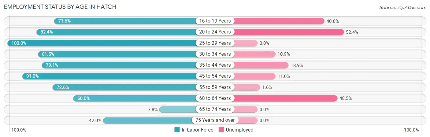 Employment Status by Age in Hatch