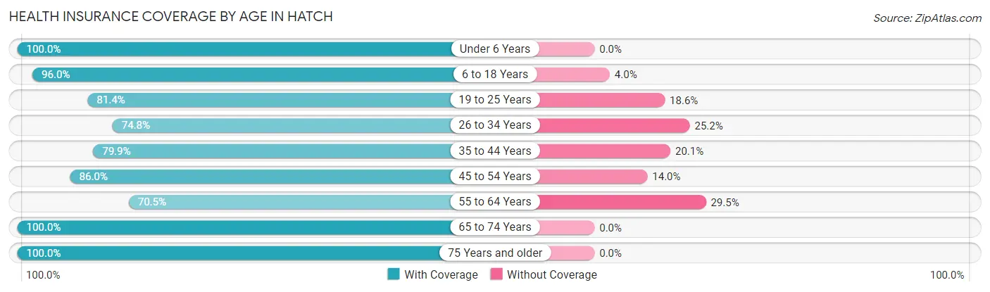 Health Insurance Coverage by Age in Hatch