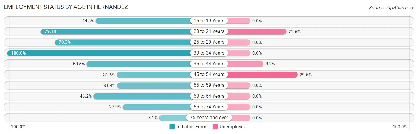 Employment Status by Age in Hernandez