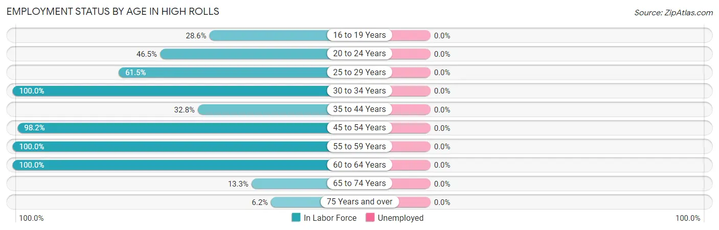 Employment Status by Age in High Rolls