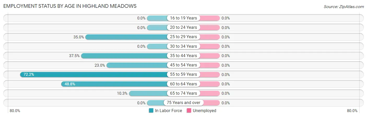 Employment Status by Age in Highland Meadows