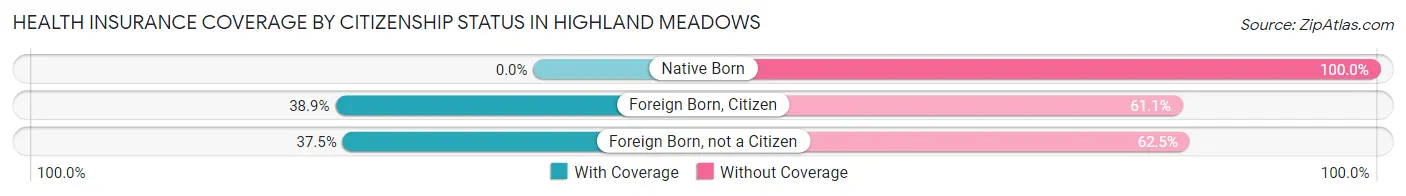 Health Insurance Coverage by Citizenship Status in Highland Meadows