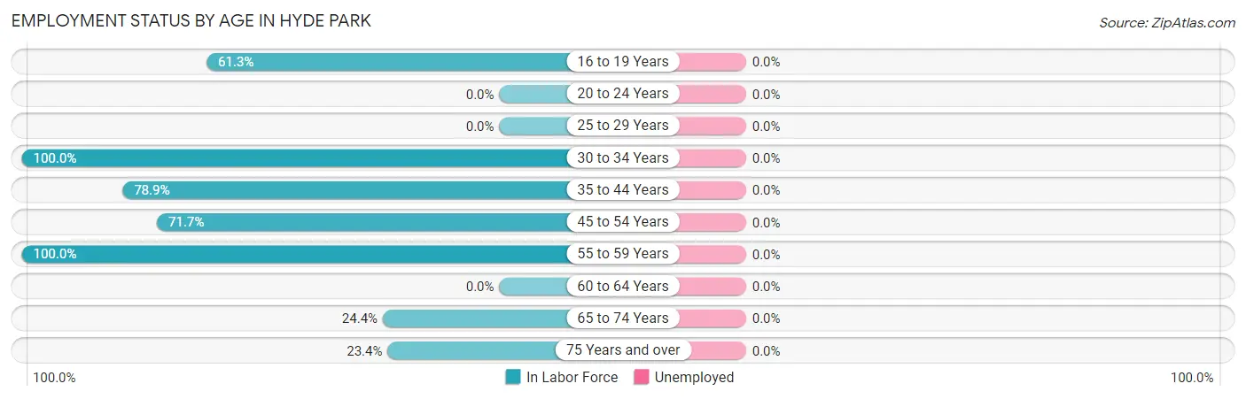 Employment Status by Age in Hyde Park