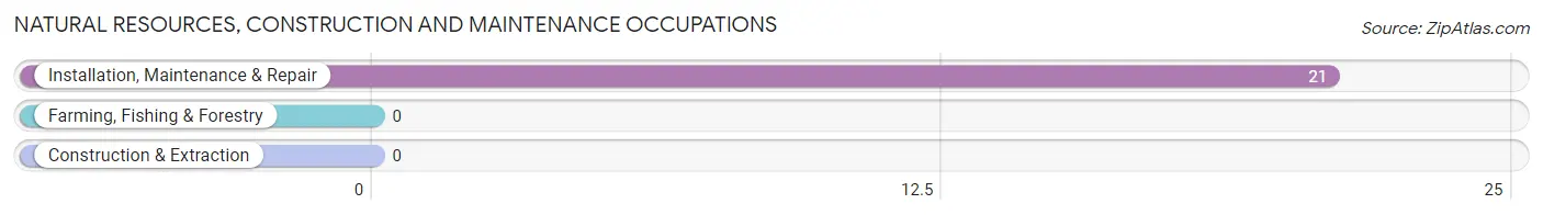 Natural Resources, Construction and Maintenance Occupations in Hyde Park