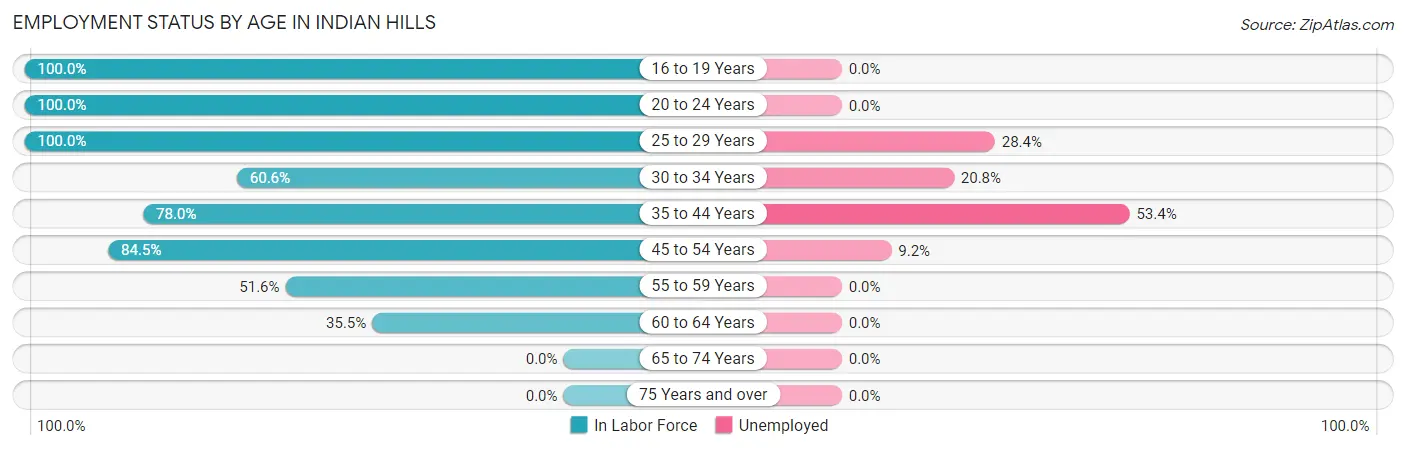 Employment Status by Age in Indian Hills