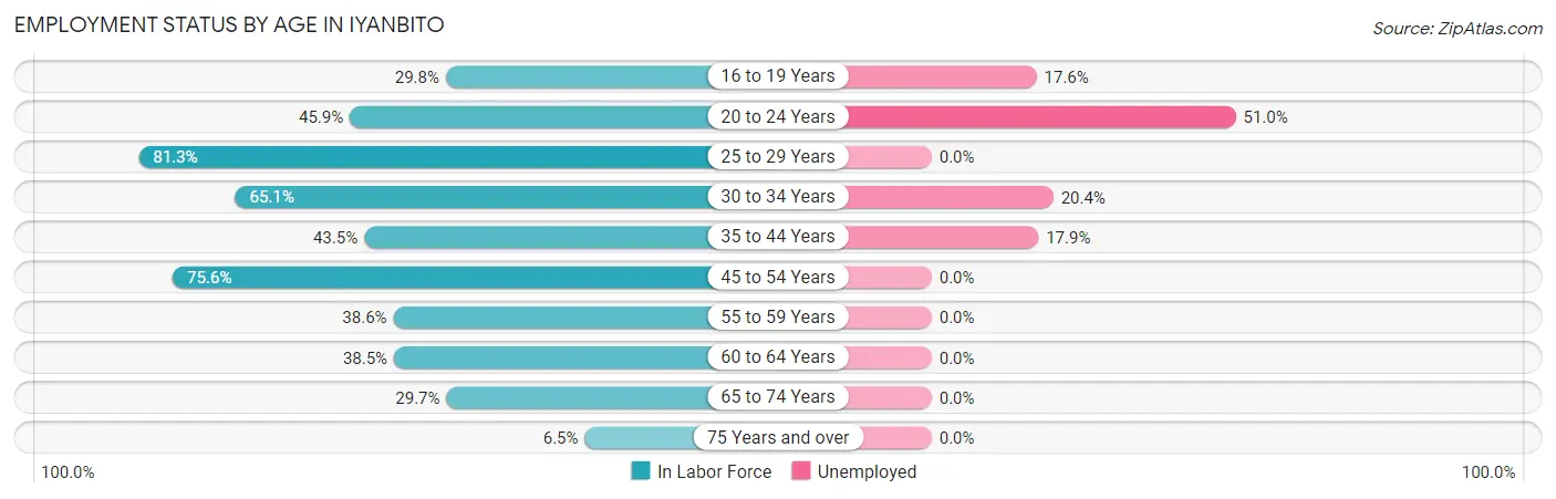 Employment Status by Age in Iyanbito