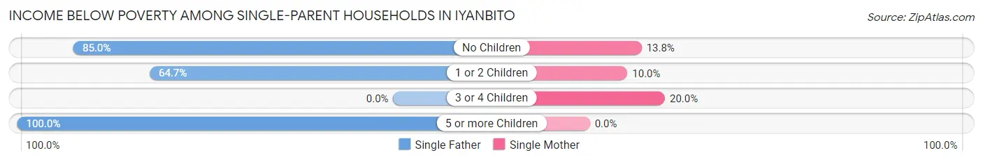 Income Below Poverty Among Single-Parent Households in Iyanbito
