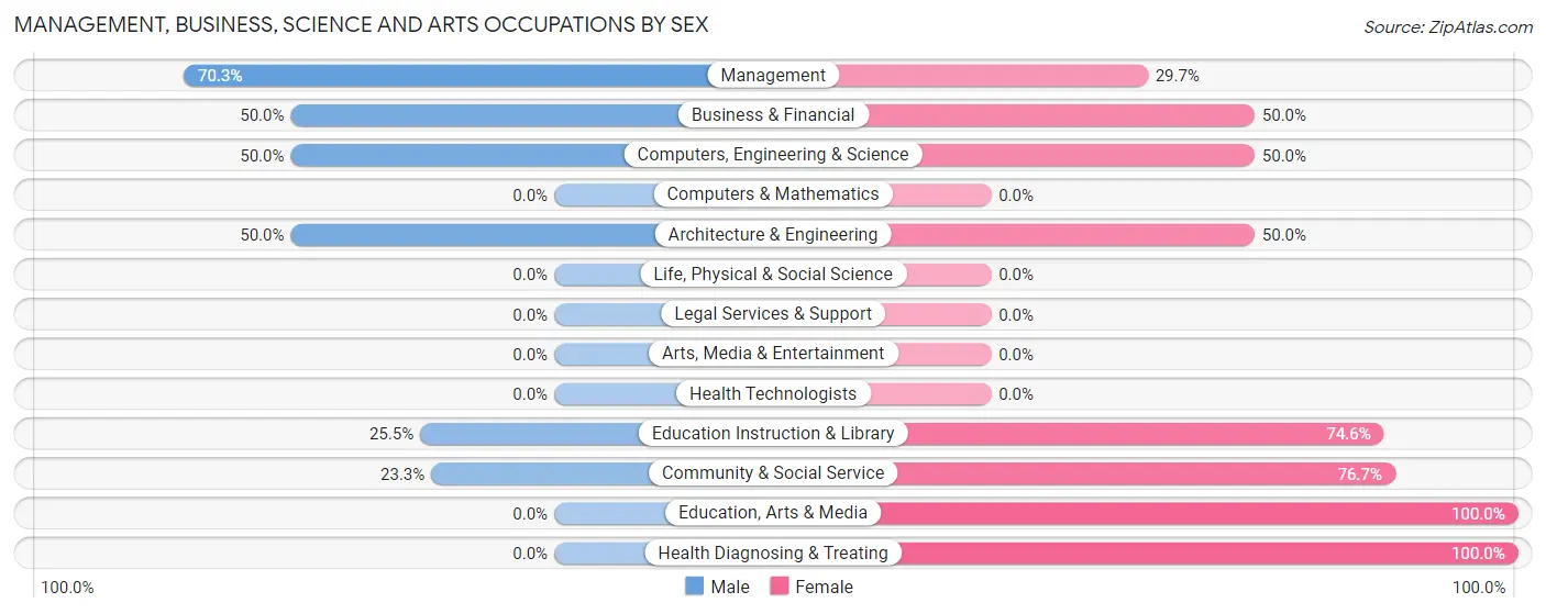 Management, Business, Science and Arts Occupations by Sex in Iyanbito