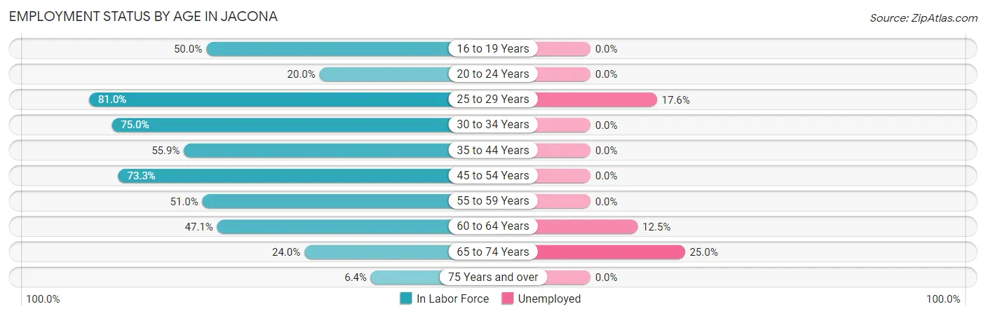 Employment Status by Age in Jacona